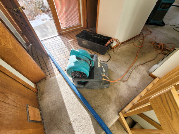 Best Fire Damage Restoration  in Hanley Hills, MO