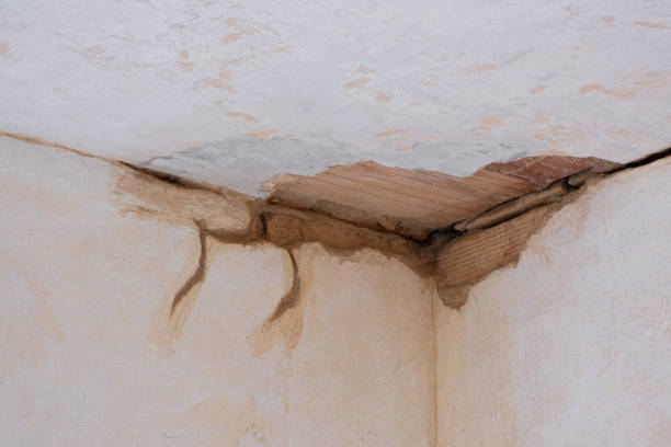 Best Carpet water damage restoration  in Hanley Hills, MO