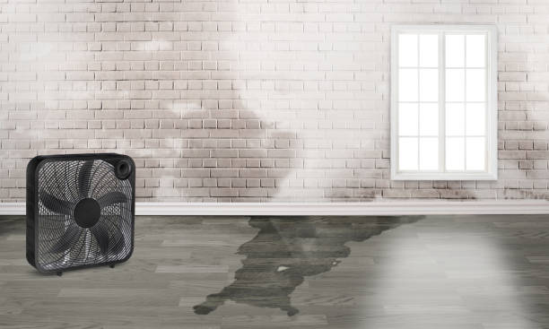 Best Water damage restoration cost  in Hanley Hills, MO