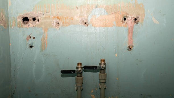 Best Mold removal after water damage  in Hanley Hills, MO