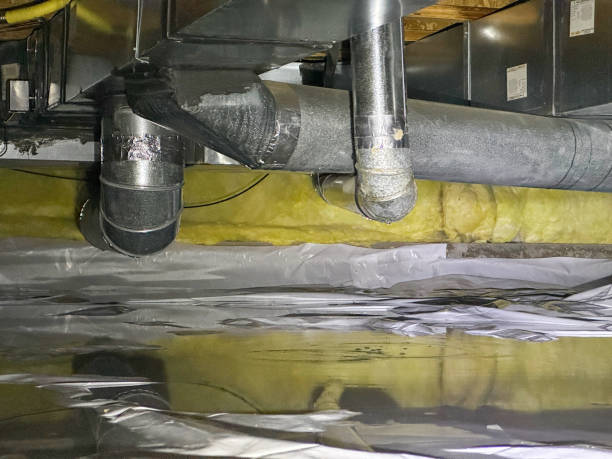 Best Water damage restoration near me  in Hanley Hills, MO