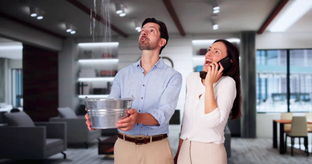 Best Water damage repair service  in Hanley Hills, MO